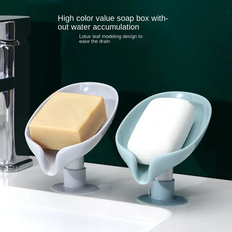 Drain Soap Holder Leaf Shape S - مراجعة Soap Making Box وسعره