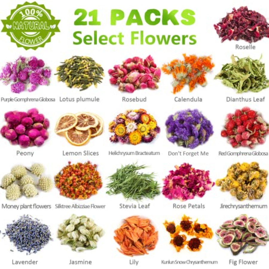 [Latest] 21 Pack Dried Flowers - مراجعة Soap Making Kit وسعره